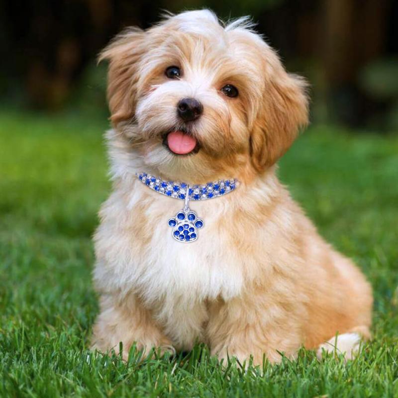 Chat chien collier homme fait diamant incrusté collier de chien collier pour animaux de compagnie couleur mixte élastique bijoux collier produit pour animaux de compagnie S/M/L TXTB1
