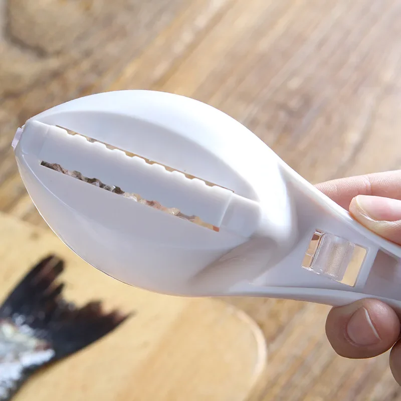 Brosse à Écailles de Poisson, Ustensile de Cuisine pour Râper la Peau des Poissons, Démontage Rapide, pour Nettoyer et Gratter