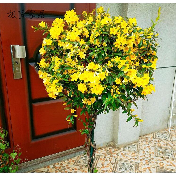 lizak kutego żelaza piłka wiatrak jaśmin roślin kształt piłka wspinaczka rama stojak na kwiaty rattan stojak