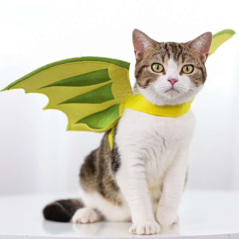 Grappig Cosplay Kostuum Voor Kat Schattige Veilig Dinosaurus Vleugels Doek Voor Pet Novelty Puppy Kitten Foto Rekwisieten Kleding Accessoires CC07
