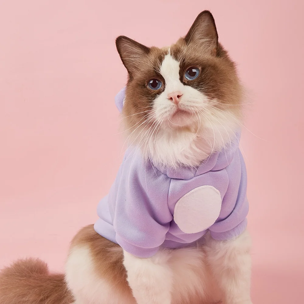 Leuke Haarloze Kat Kleding Winter Huisdier Kostuums voor Katten Kitten Sphynx Hoodie Trui mascotas Outfits Hondenkleding katten kleding