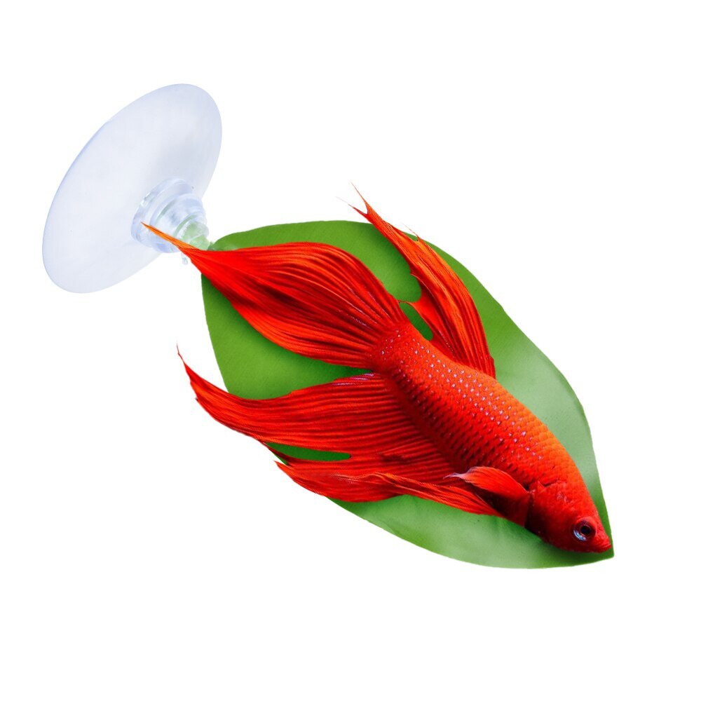 Aquariumdecoratie, aquariumdecoratie, betta visblad, aquariumlandschap, plastic zuignap, betta hangmat: A