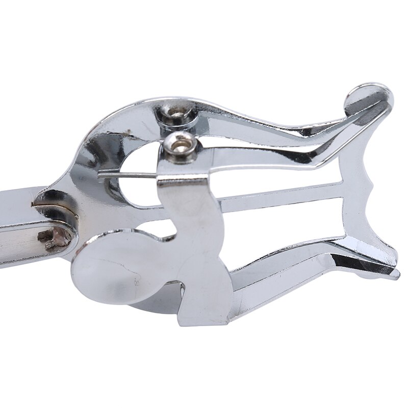 Marching Baritone Lyre Sheet Music Clip Stainless Steel Trumpeter Lyre Sheet Music Clamp-On Holder