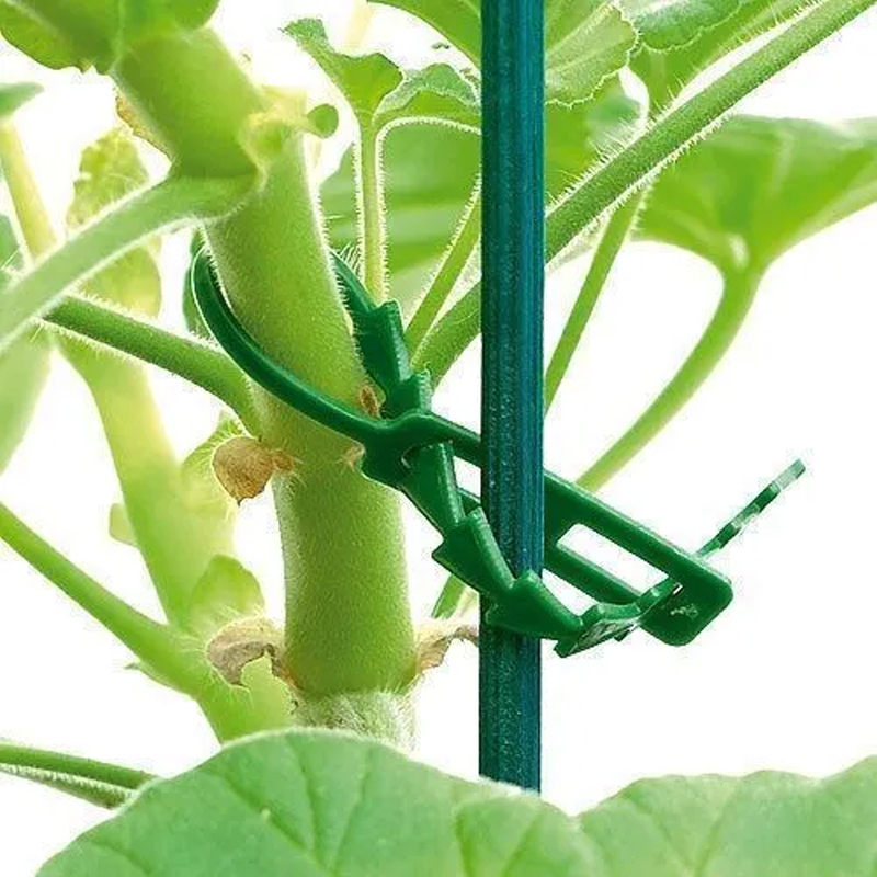 10/500x Adjustable Plastic Plant Cable Ties Reusable Garden Fastener Tie Plant Climbing Cable Ties Tools Tree Support Accessory