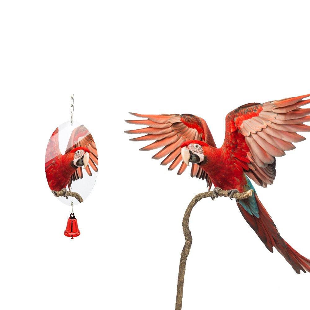 Espejo de juguete para mascotas de 8 estilos, divertido para juguete cacatúas, loros, juguetes pequeños de pájaros y loros, loro mascota accesorios para escalar