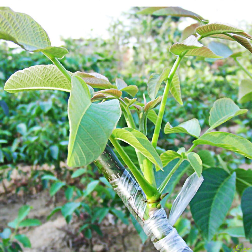 1 Roll Of Environmental Protection Garden Grafting Bandage Fruit Tree Seedling Bandage Pruning Shears Grafting Tape