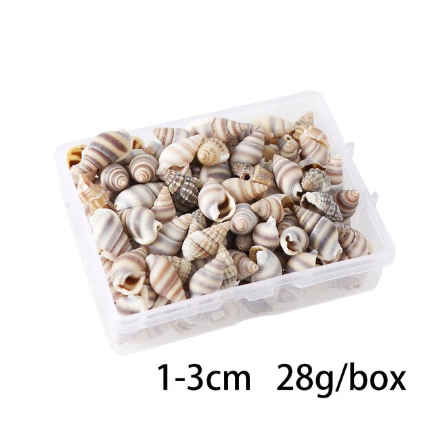 100 PCS Boxed Natural Conch Shells Mini Conch Corn Screw Wall Decoration DIY Aquarium Landscape Seashells Jewelry DIY Craft: Deep Blue