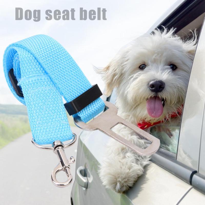 Hundesele hundesele til kæledyr sikkerhedssele bly snor til små mellemstore hunde rejse klip kæledyr justerbar kæledyrs sikkerhedsbeskyttelsesværktøj