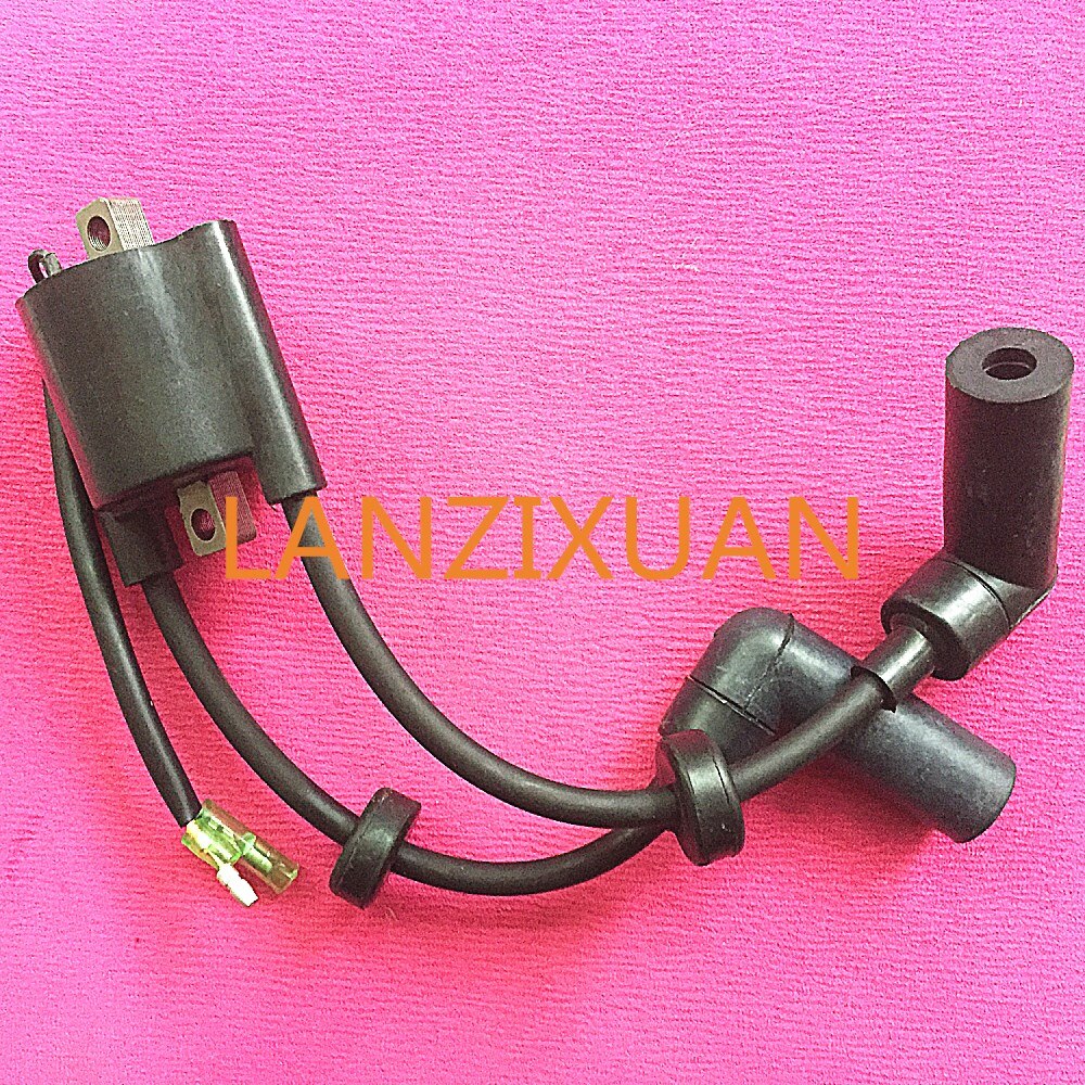 Boat Motor Ignition Coil Assy F15-07000600 for Parsun 4-Stroke F9.9 F13.5 F15 Outboard Engine, High Pressure Coil