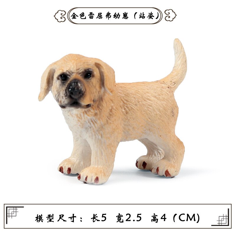Miniaturen Beeldjes Hond Model Golden Retriever Schnauzer Shiba Inu Herder Action Figure Collectible Educatief Speelgoed: Golden Retriever C