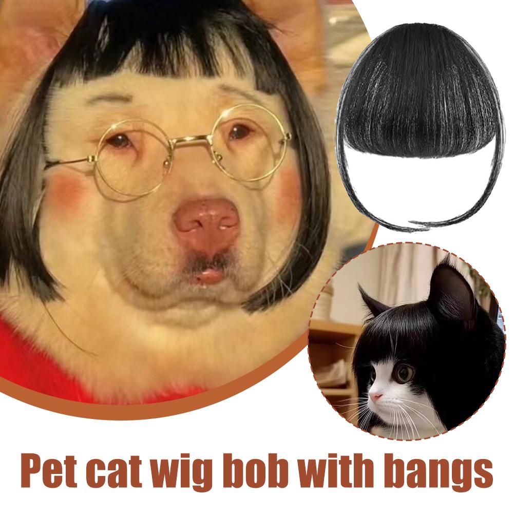 Accesorios de peluca para gato, tocado para perro, disfraz divertido, disfraz de cachorro, vestido de Cosplay, peluca bonita para mascota, accesorios divertidos para la cabeza
