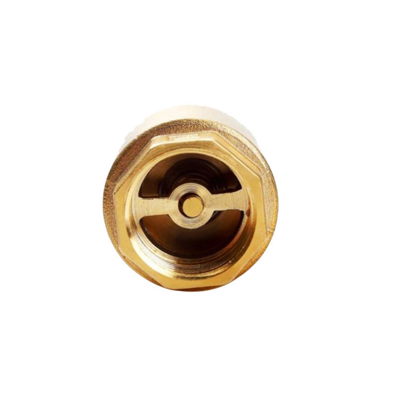 1pc DN15/DN20/DN25 Brass Female Thread In-Line Spring Check Valve One Way Non-Return For Water Control