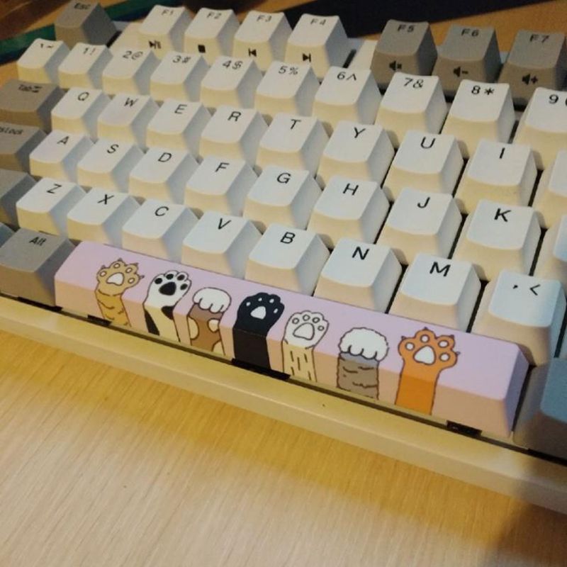 SpaceBar Keycap PBT Five Sides Dye-Subbed Spacebar 6.25U Cherry Profile Space Bar Keycap for DIY Mechanical Keyboard