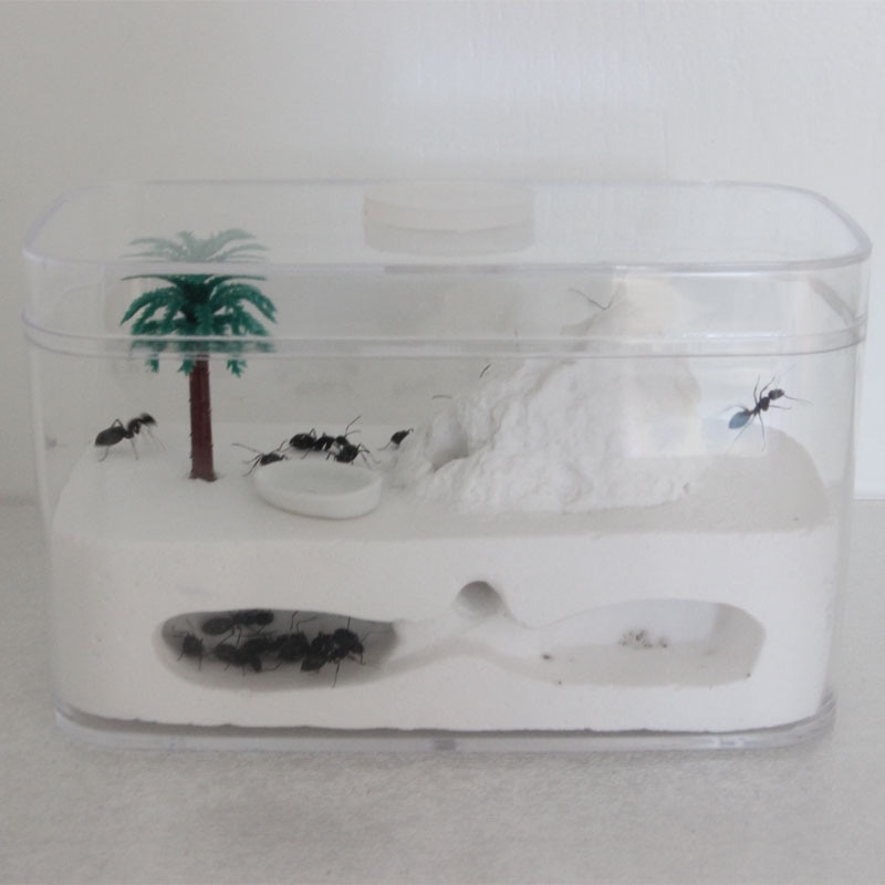 Pet Ant Living Gypsum Nest Ant Castle Ant Workshop Home Children Insect Nest Ant Tree House