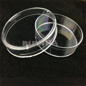 Tapas estériles para placas de laboratorio, cubiertas de material de papelería de 60mm x 6mm, para material escolar, antibacteriano, 10 Uds.