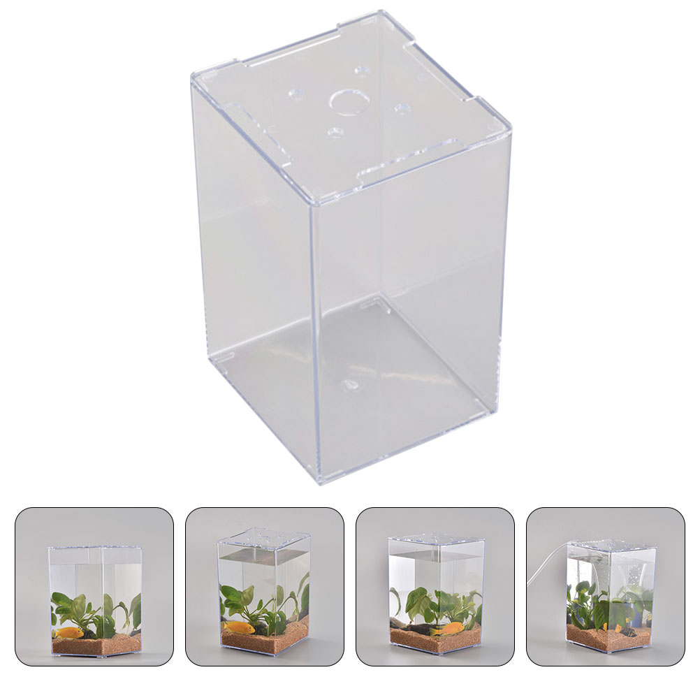 Pecera pequeña, Mini pecera, acuario pequeño, acrílico, caja de peces