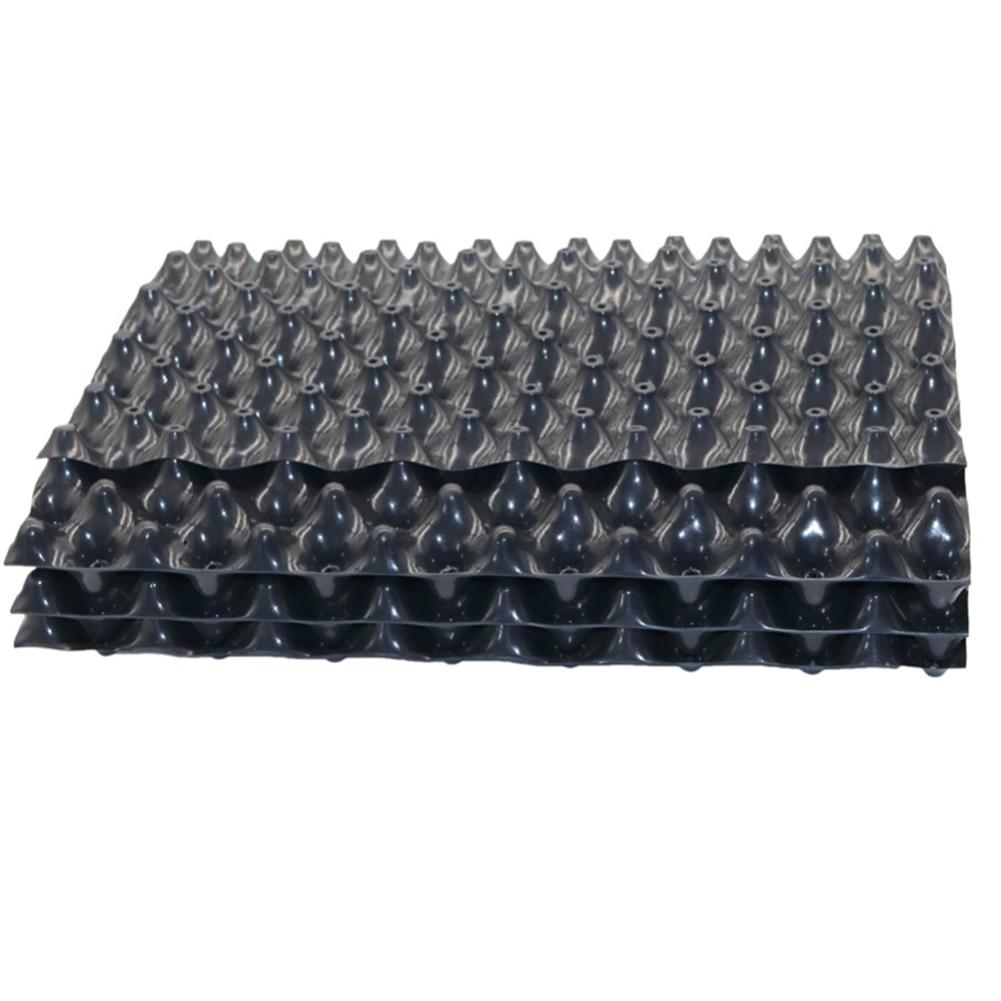 Plant Root Trainer Fast Root Grow Container Air-Pr... – Grandado