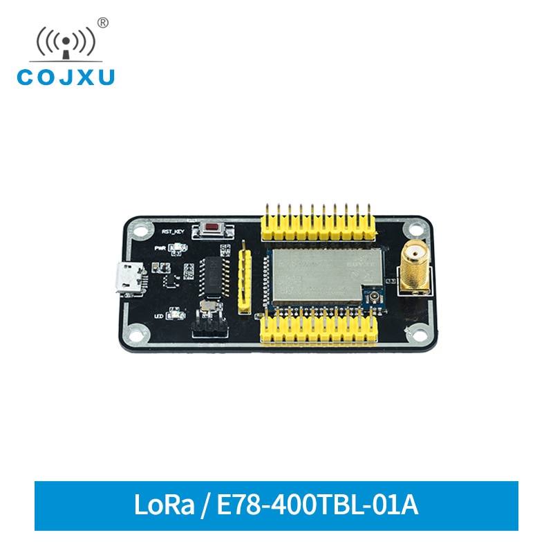 E78-400TBL-01A E78 Serie Modul Prüfung Gremium ASR6501 USB Prüfung Bausatz Soc Usb zu TTL LoRaWan LoRa Modul