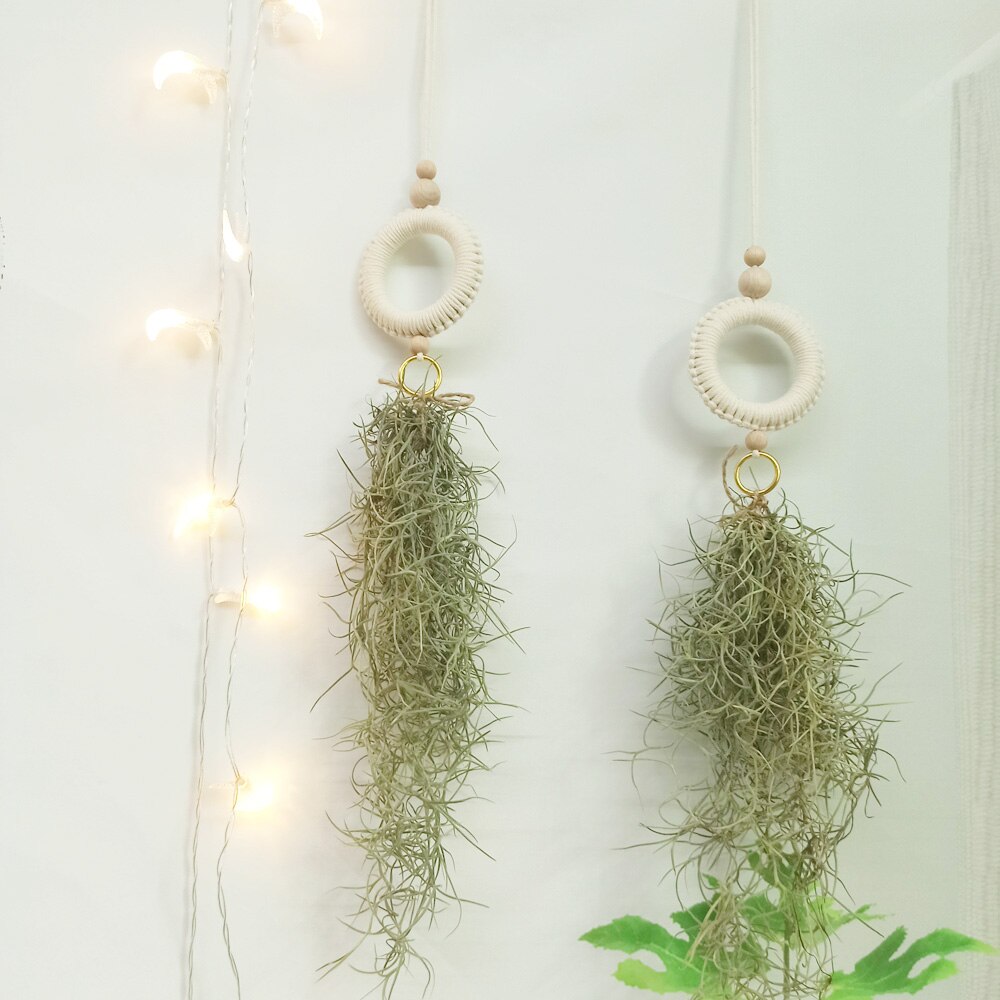Soporte de macramé para plantas de aire, colgador para plantas de aire bonitas, Mini plantas suculentas, Tillandsia y plantas artificiales, tapiz de pared para decoración del hogar: GT-06A(2 Piece Set)