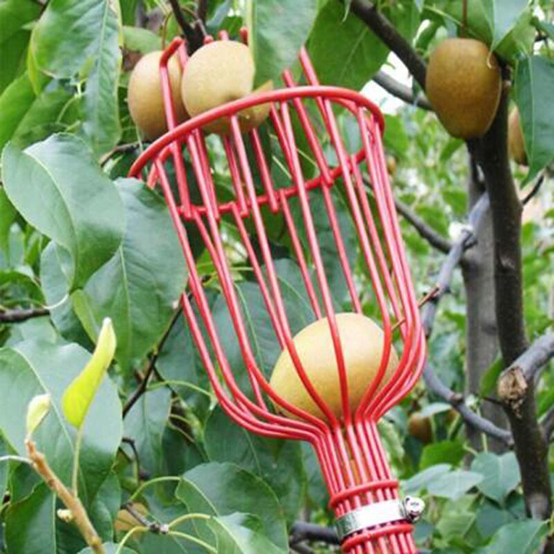 Aluminium Diepe Mand Fruitplukker Hoofd Handige Fruit Picker Catcher Apple Perzik Picking Tuingereedschap