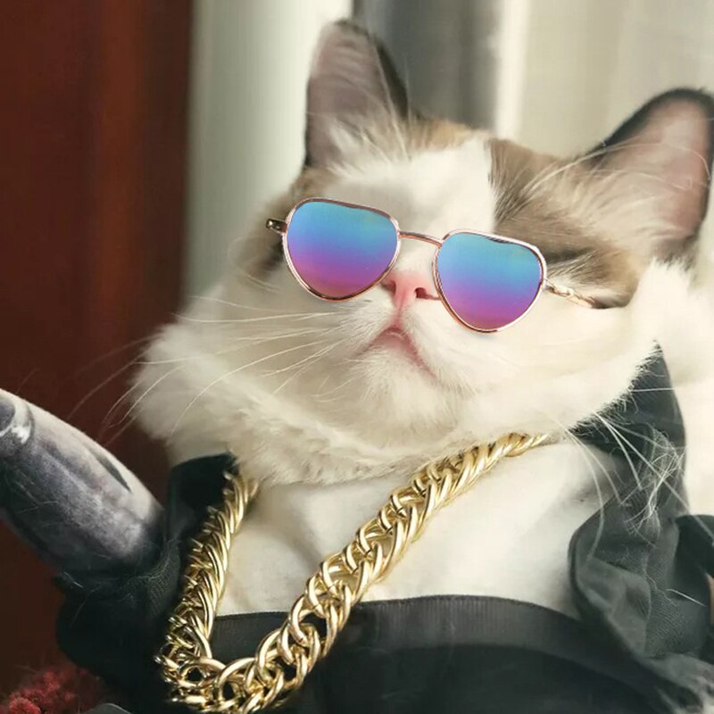 Dukke leke kule solbriller kjæledyr foto rekvisitt kjæledyr briller dukke solbriller kjæledyr katt øyebeskyttelse hund katt briller kjæledyr produkter