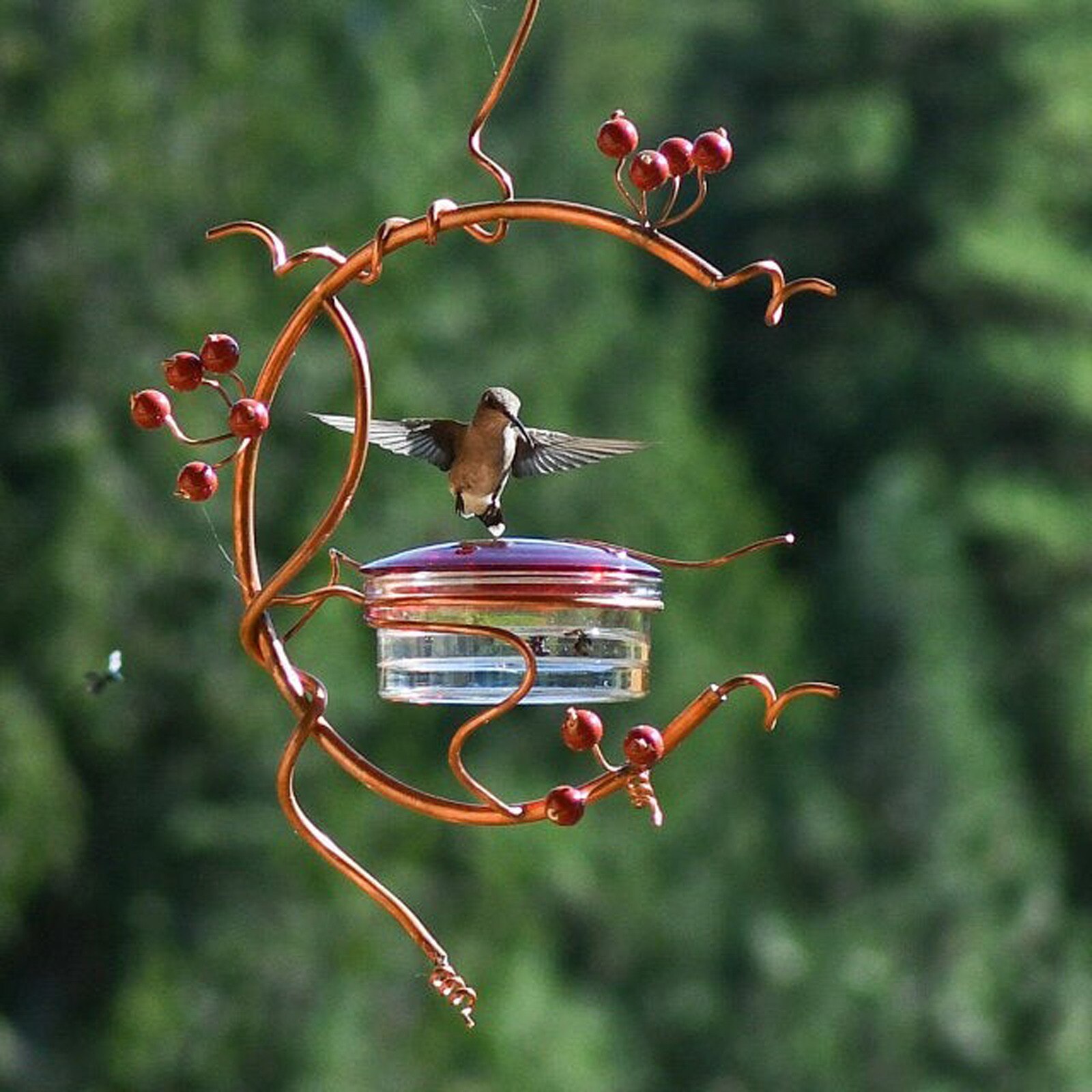 Hummingbird Feeder Garden Courtyard Bird Feeder Courtyard Tree Hanging Red Berries Garden Decoration Outdoor Feed The Birds0