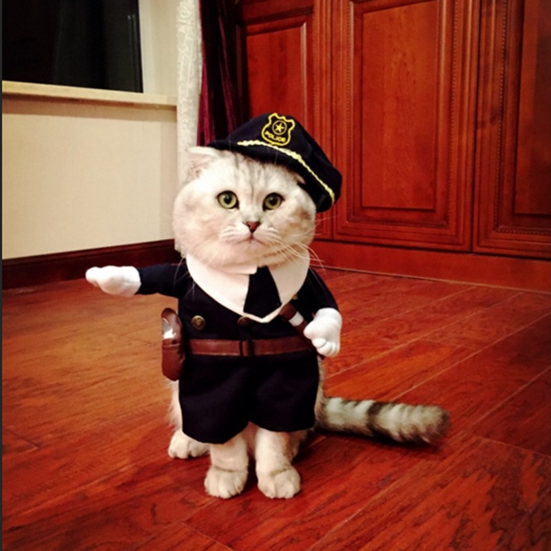 Gomaomi – Costume pour animaux de compagnie, Style policier, vêtements en Jeans pour chiens et chats, drôle
