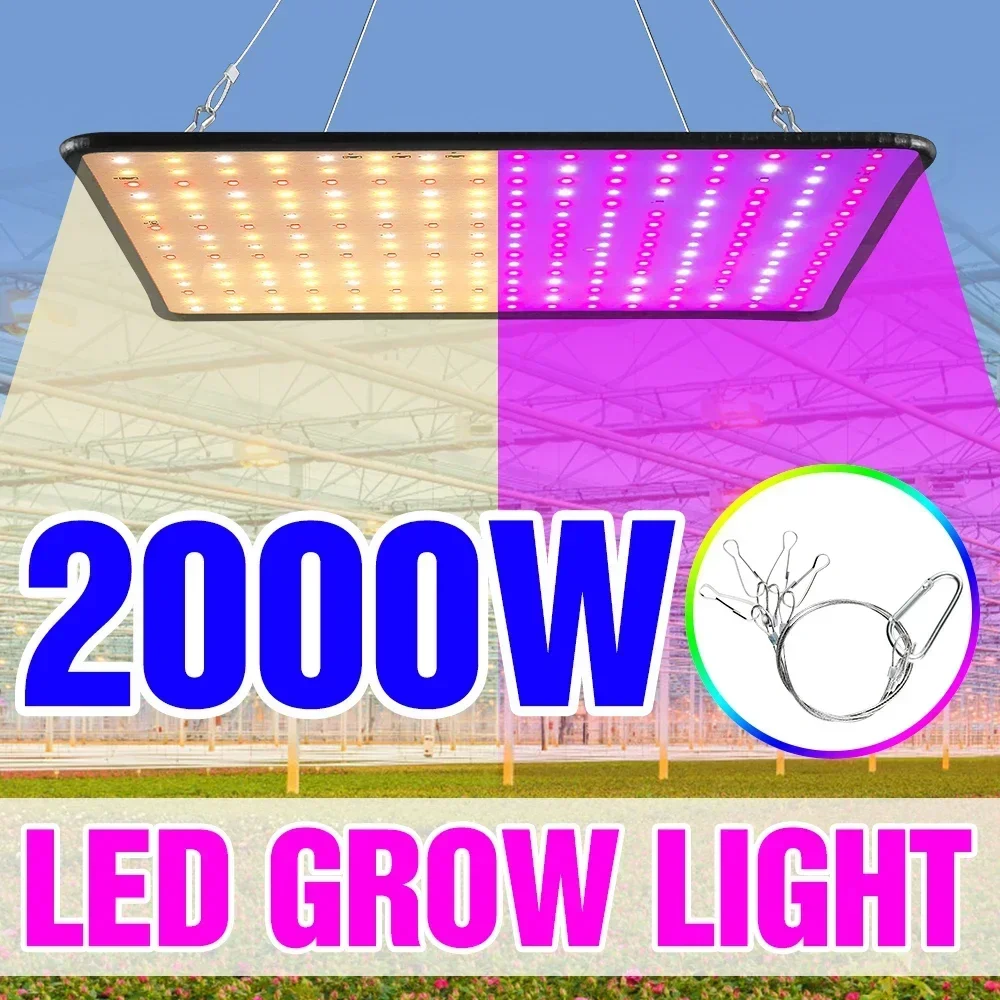 Las últimas lámparas de cultivo, bombilla Led de espectro completo para plantas, invernadero, luz de cultivo para plantas de interior, enchufe UE/AU/REINO UNIDO/EE. UU., varios colores disponibles