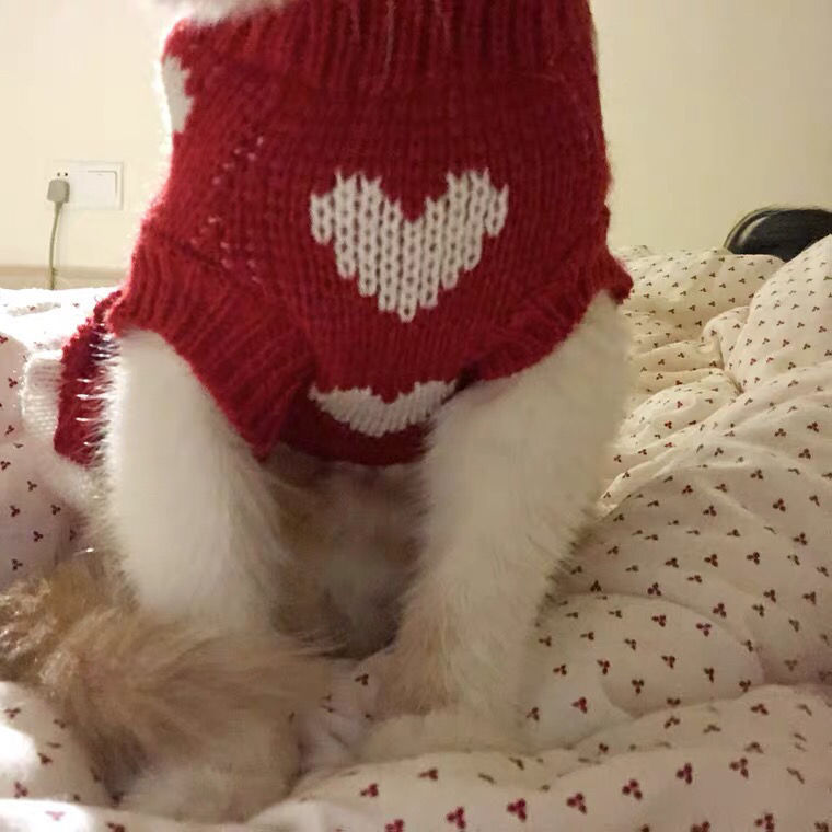 Nueva falda para mascotas, ropa de princesa para pastel de gato, vestido de perro, suéter, corazón rojo, vestido de princesa para gato