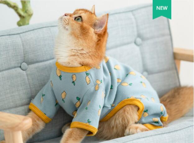 Ropa de invierno para gatos, abrigo para cachorros y gatitos, chaqueta para perros pequeños y medianos, C: B / XS