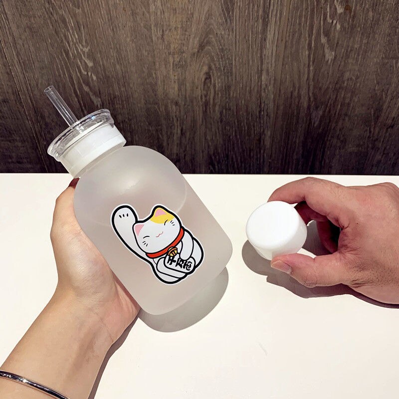 500ml chat chanceux bouteille en plastique sans BPA dessin animé Transparent/givré bouteilles d'eau étanche Drinkware mignon étudiant tasse: 11