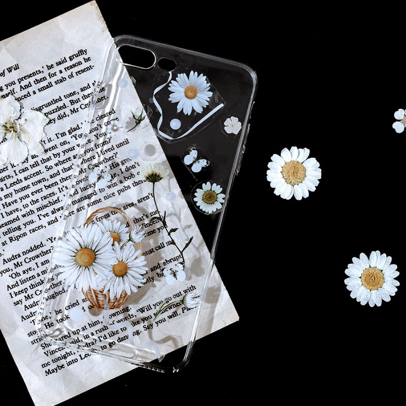 10cm*3m, botanical illustration diary paper tape PET transparent tape DIY scrapbook label label masking tape
