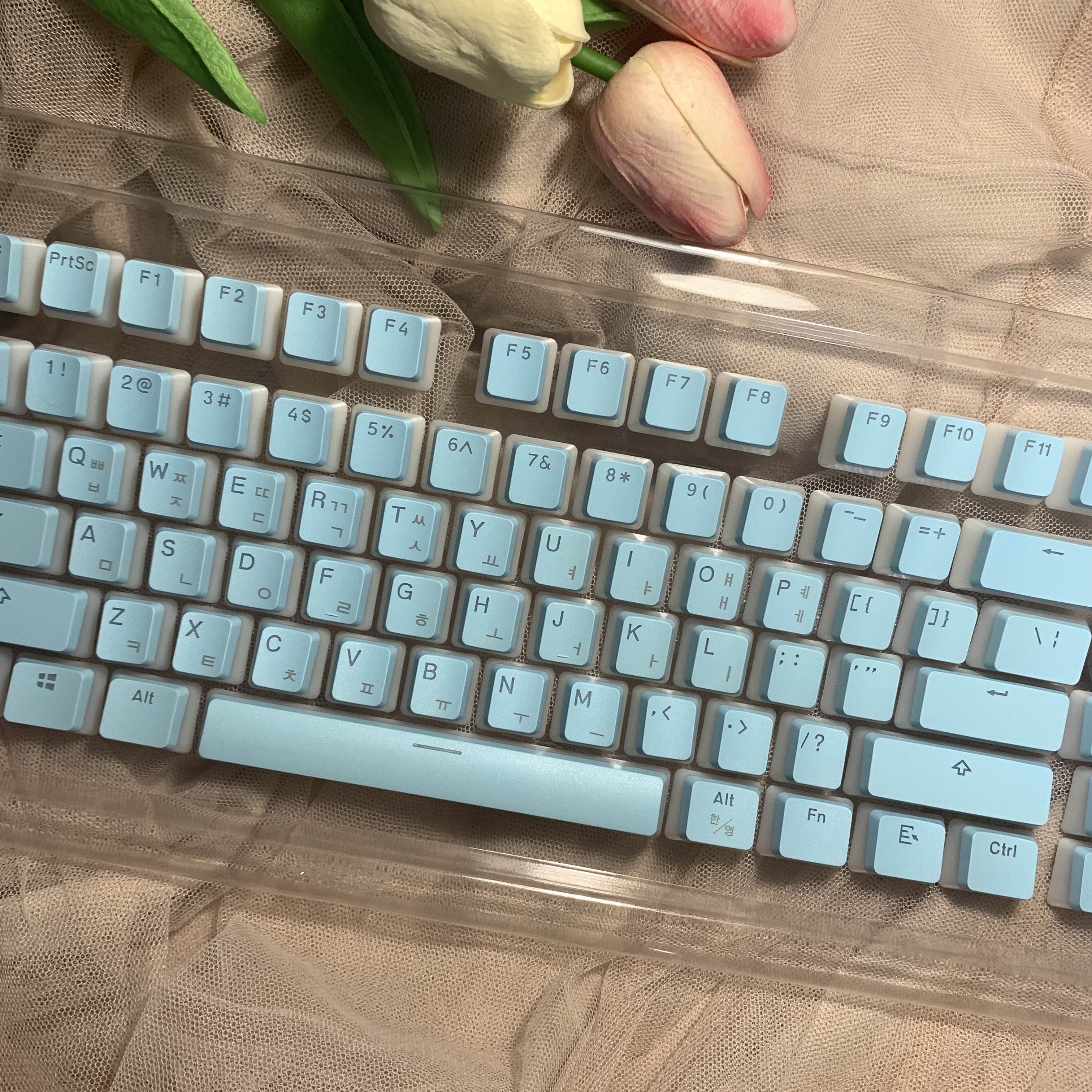 Keycaps Korean/Russian OEM PBT 117 Keys Pudding Keycap For Corsair MX Switch Mechanical Keyboard Gamer Backlit Keyboards Switch: PURPLE