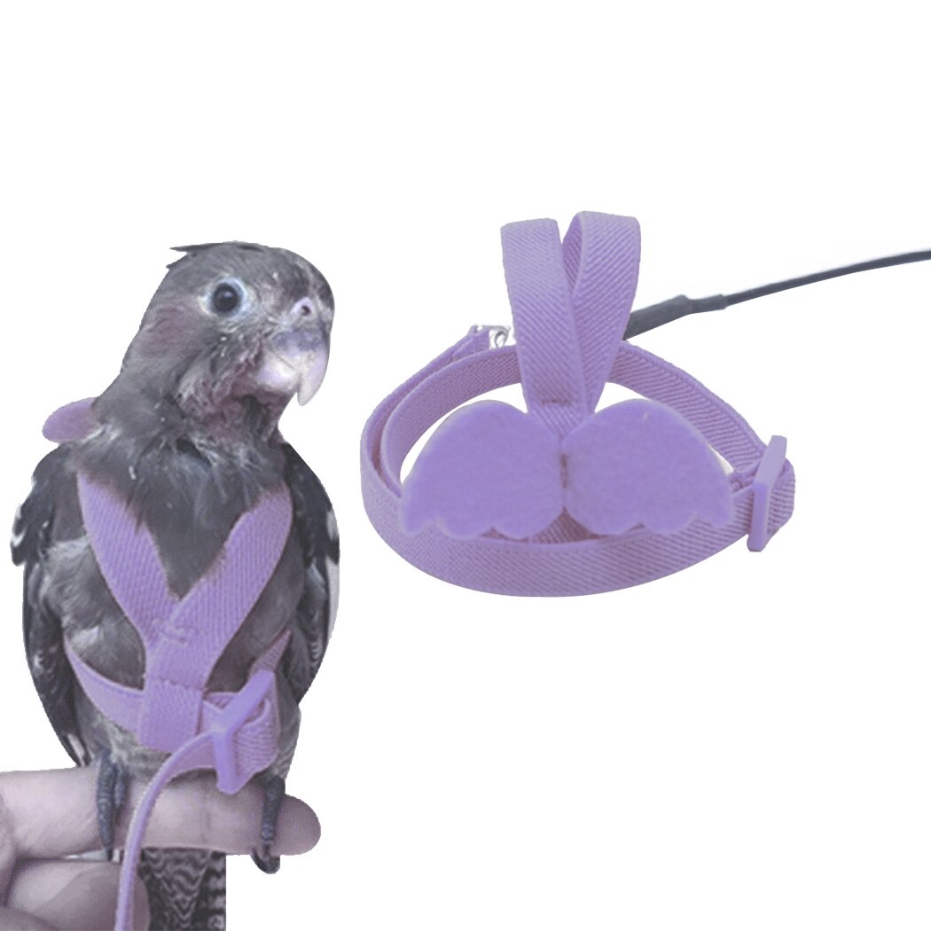Ensemble de harnais et laisse pour perroquet, corde d'entraînement en vol en plein air réglable avec aile pour petits et moyens oiseaux, perruche de calopsitte: 7