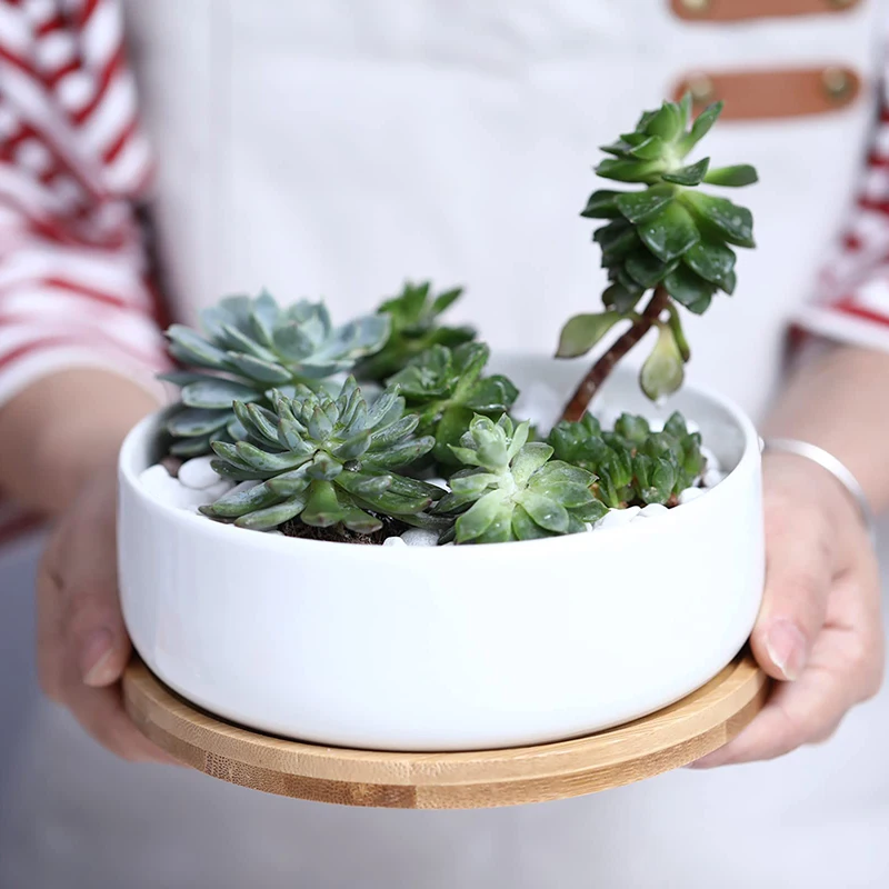 1 einstellen Minimalistischen Weiß Keramik Sukkulente Topf Porzellan Tiefe Abgerundete Topf Schreibtisch Topf Zakka Wohnkultur (1 Topf + 1 fach)