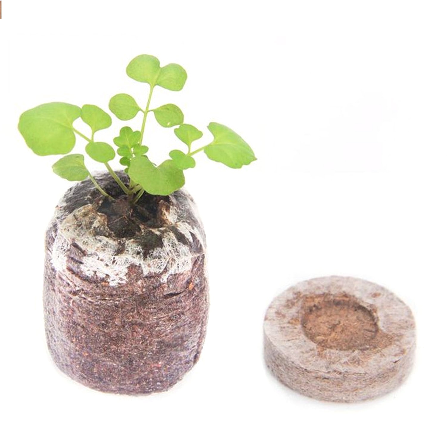 Behogar 100pcs Peat Pellets Plant Seedling Soil Blocks Starting Plugs Garden Tools for Indoor Home Gardening Greenhouse 30mm