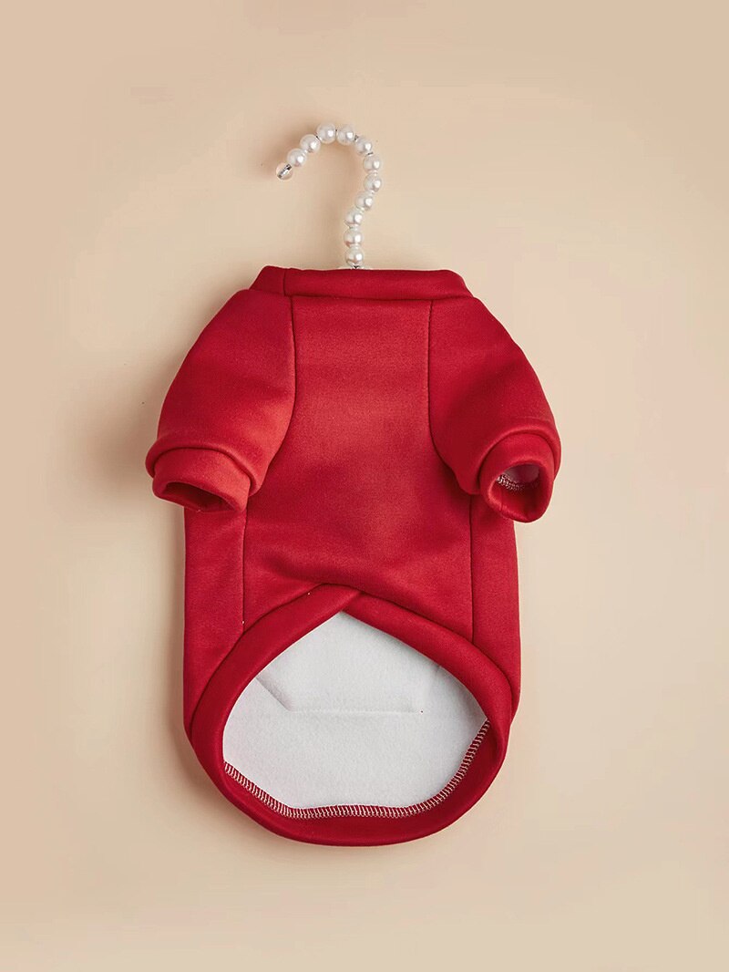 Pull pour petit chien, ours en peluche, en velours, vêtements pour animaux de compagnie, automne et hiver