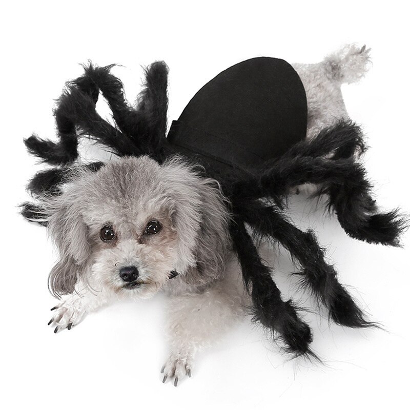 Halloween Katten Cosplay Kostuums Kleine Honden Spider Dressing Up Kleding Horror Lange Bont Benen Grappig Kostuum