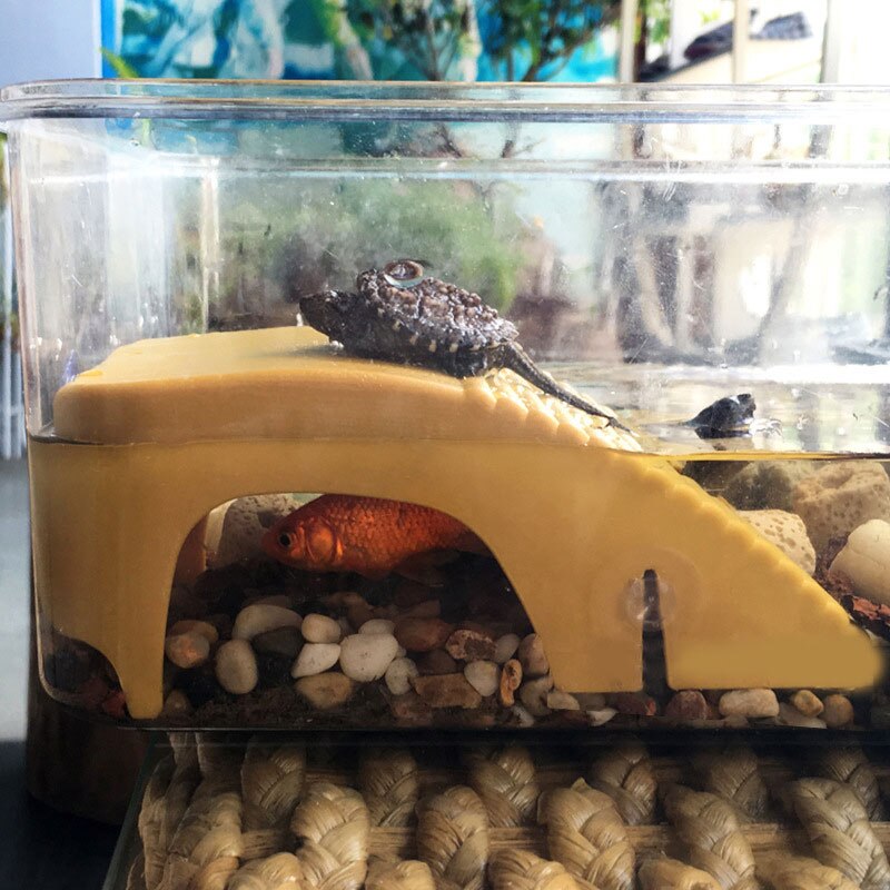 Amphibien Aquatische Klettern Panzer Treppe Schwimmenden Plattform Einzigartige Landschaftsbau Reptil Klettern Plattform Schildkröte Aalen Aquarium