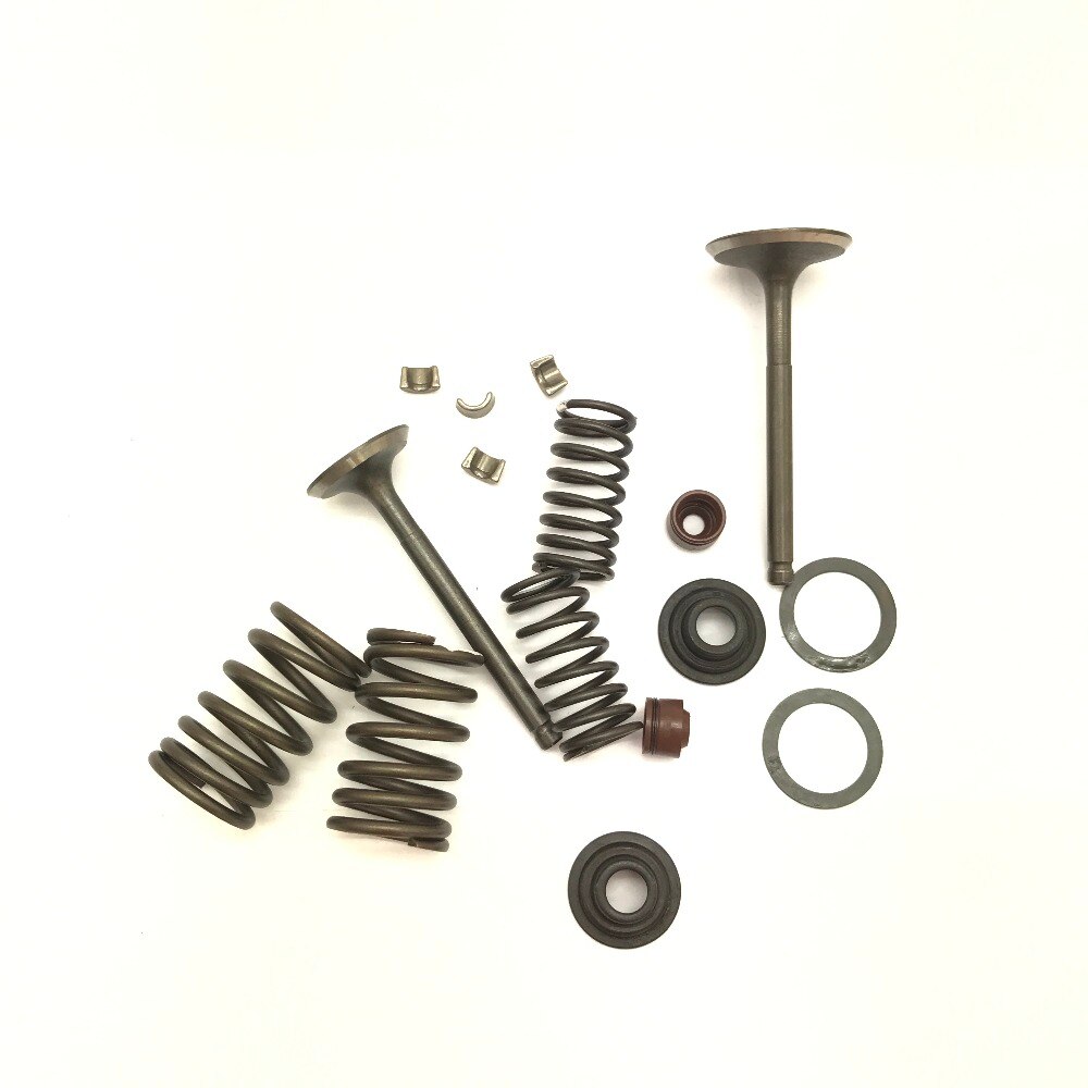 Cilinderkop Kleppenset - CH250 - voor 70-110CC Motoren - met Veren & Clips