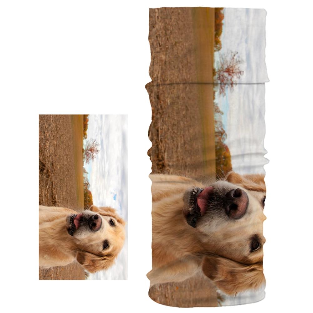 Neue Staubdicht Schal Nette Hund Haustier aufbringen unisex Magie Rohr Schal Weichen, Elastischen Material Joggen Sport Fitness Stirnband Armbinde: 01