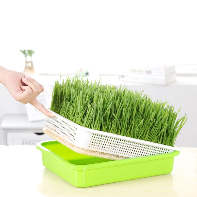 Siementen itämisalusta kannella bpa vapaa pavunversojen kasvattaja itävä siemenalusta, likaantumaton ja suuri kapasiteetti