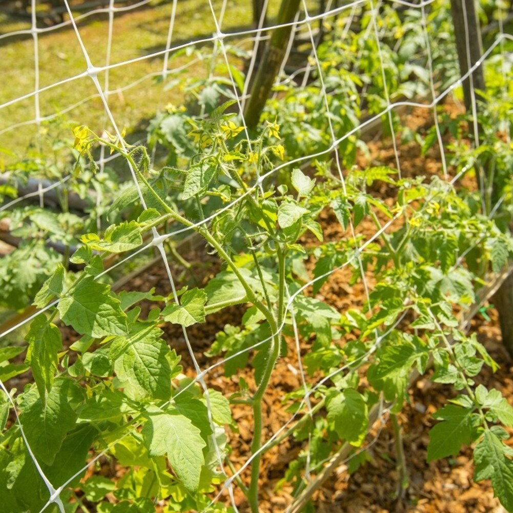 5m/10m Garden Plants Climbing Net Plant Trellis Netting Pea Netting Multi Use Support Vine Climbing Hydroponics Garden Tool