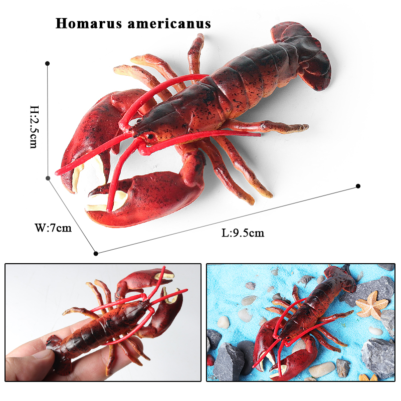 Oenux havdyr simulering tigerrejer krebs rejer havliv modelfigurer actionfigurer samling legetøj til børn: Vandmelon rød