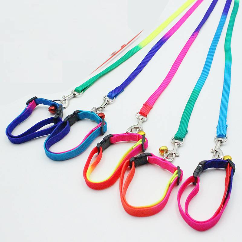 Hond kat harnas riem verstelbaar harnas vest riem halsband puppy kleine hond buiten wandelen chihuahua terier schnauzer