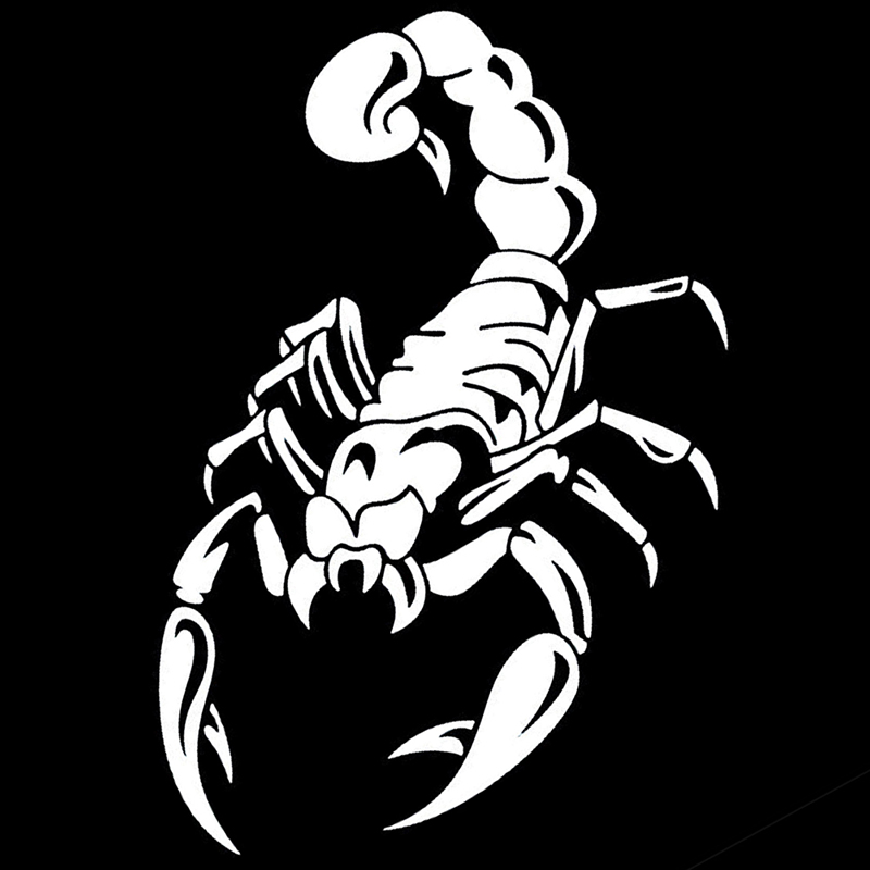 Car Decoration 3D Scorpion Decal Sticker Cool Vinyl Sticker, White 40Cm