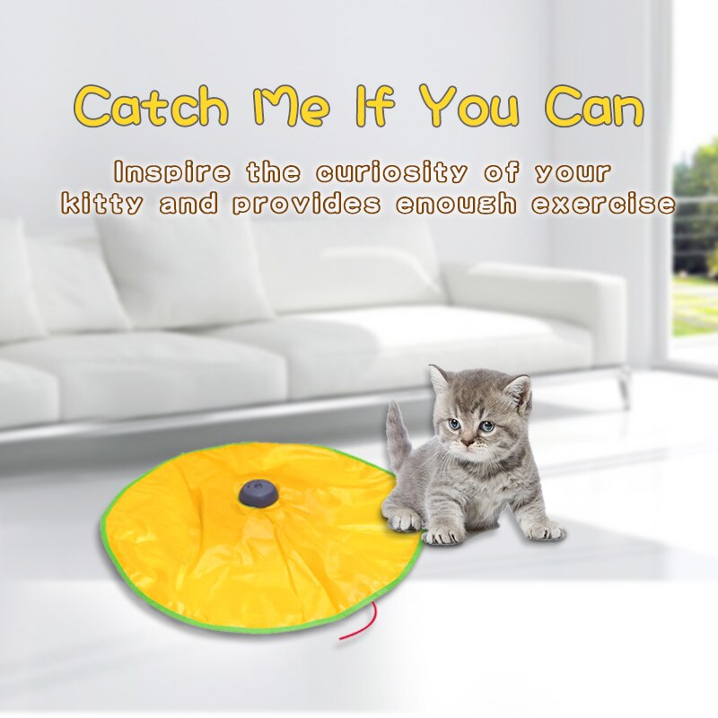Cat Toy Interactive Electric Gym toys Cat Play Plate Undercover Fabric Moving Mouse Cats Meow Play For Kitty Funny As Seen On TV