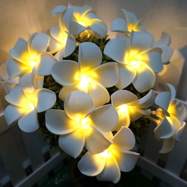 3M 20LED String Starry Lights USB Powered Hawaiian Foam Artificial Plumeria Flower Fairy for Wedding Garland Party Home Decor