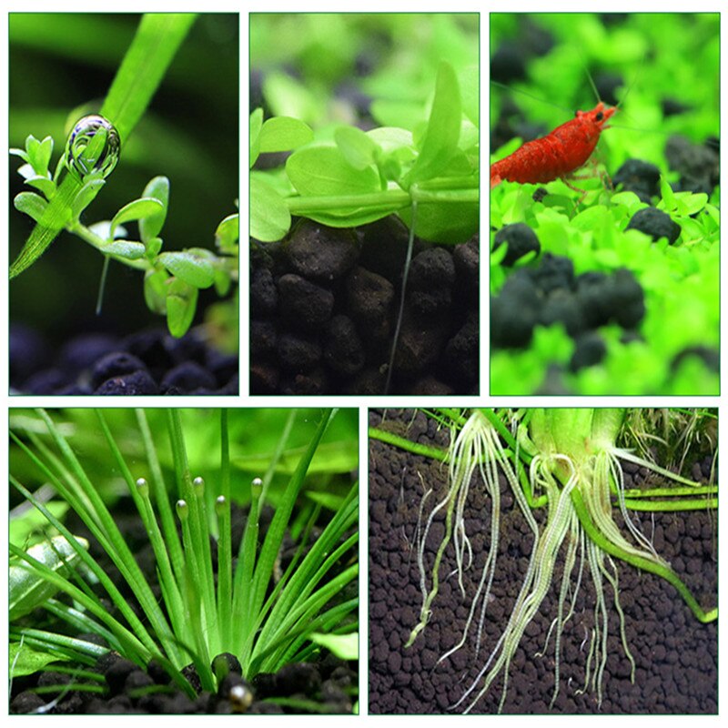 50-200g akvarium vand plante frugtbarhed substrat akvarie plante jord substrat grus akvatisk dekoration græs plante mudder jord