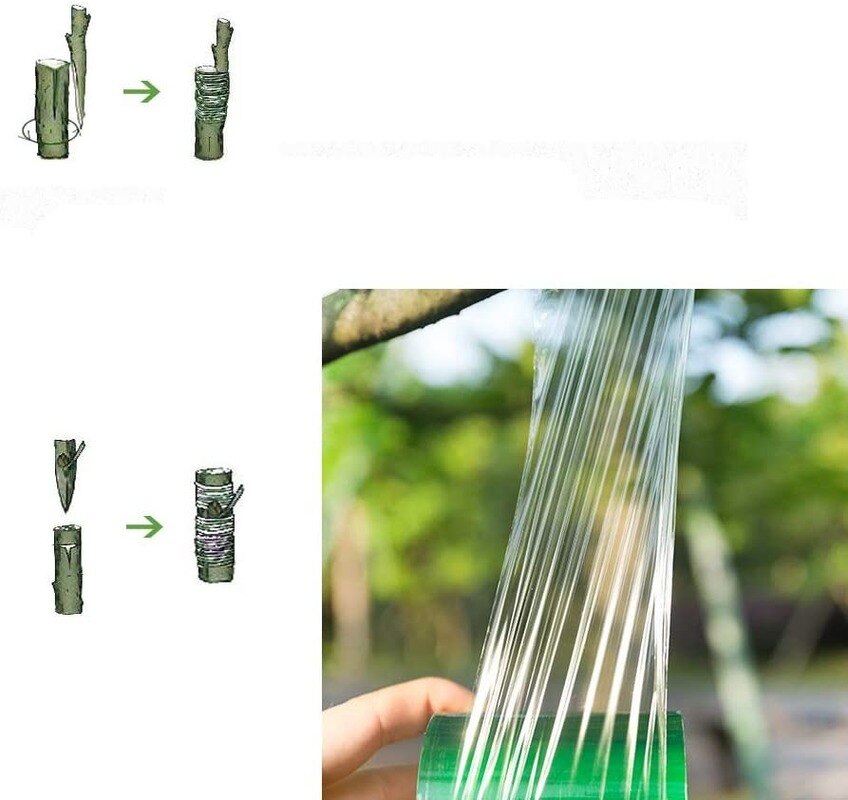Cinta de injerto autoadhesiva estirable película para injertos herramienta especial de injerto de árboles frutales cinta de unión de jardín 3CMX100M 2 uds